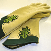 Rękawice dla chorążego