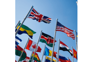 Tištěné_vlajky_států