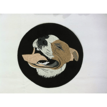 Stafordšírský teriér - pitbull