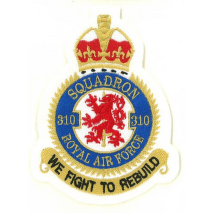 Nášivka - Squadron 310