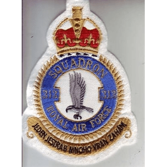 Letecká nášivka 313 SQUADRON RAF
