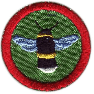 Bezejmenné čmelák