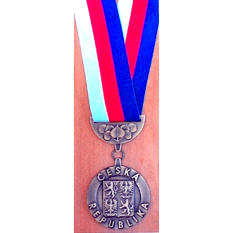 Starostenský řetěz 7