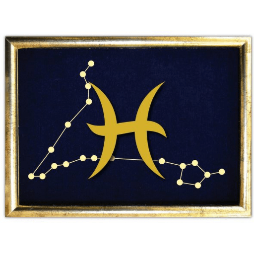 Vyšívané znamení zvěrokruhu v rámečku 13x18 cm - ryby