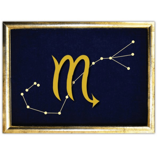 Vyšívané znamení zvěrokruhu v rámečku 13x18 cm - štír