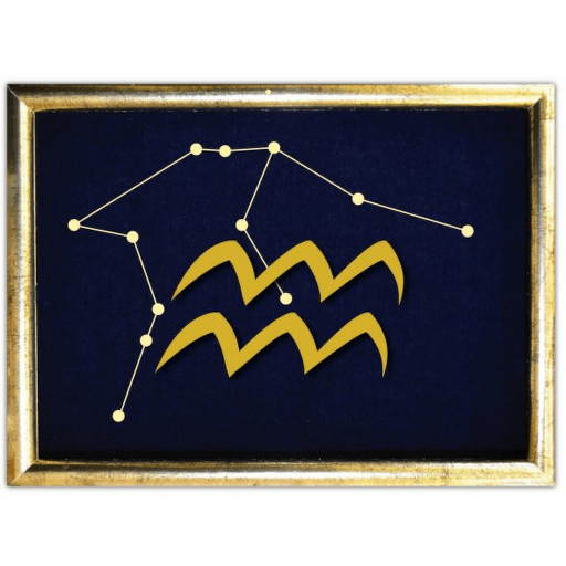 Vyšívané znamení zvěrokruhu v rámečku 13x18 cm - vodnář