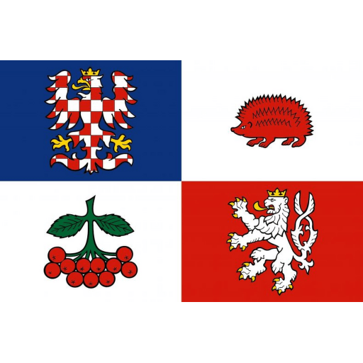 Kraj Vysočina tištěná vlajka